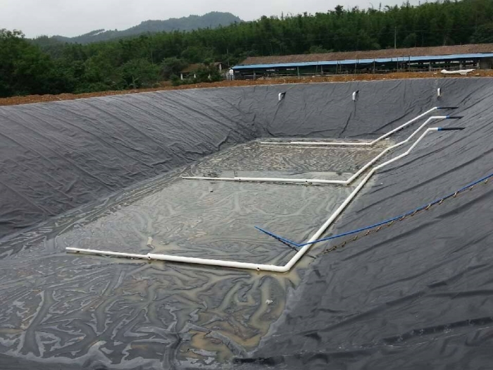 氧化塘防渗工程工程案例